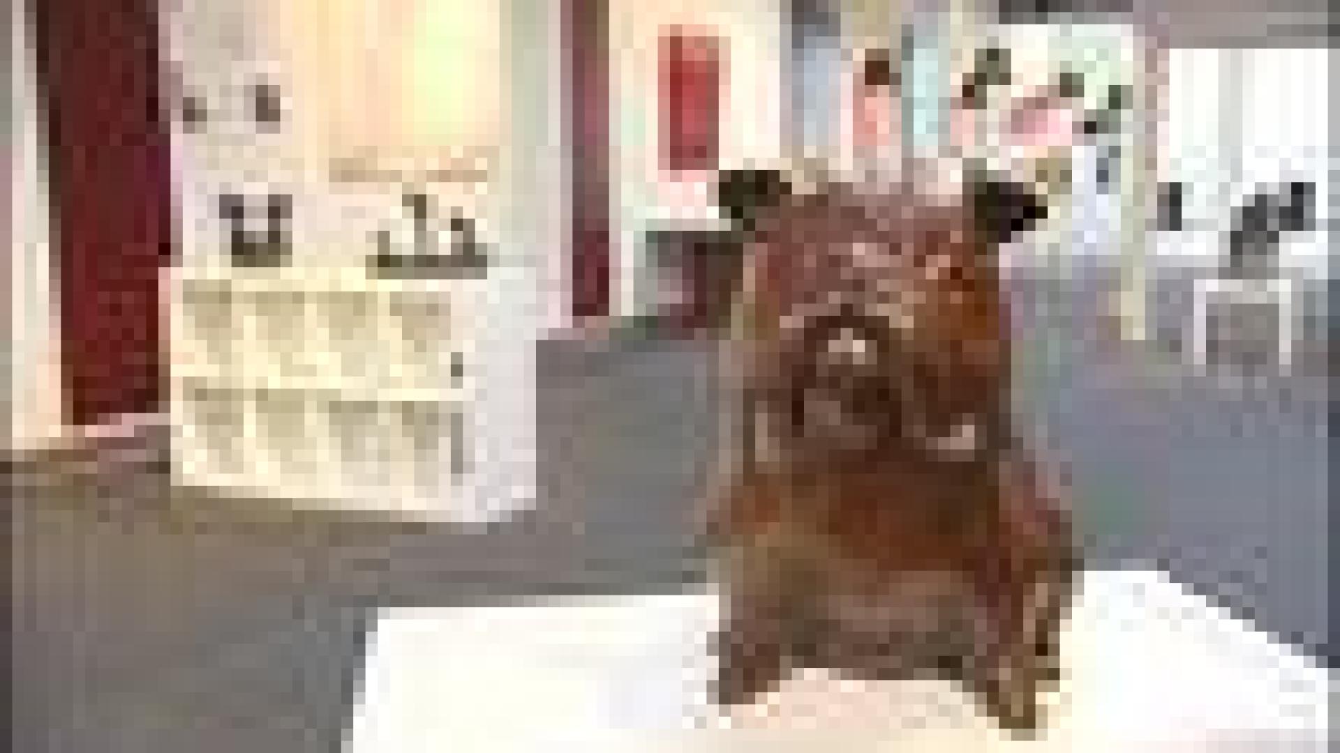 Exposition à l'Espace Bonhomme